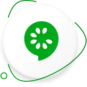 Cucumber