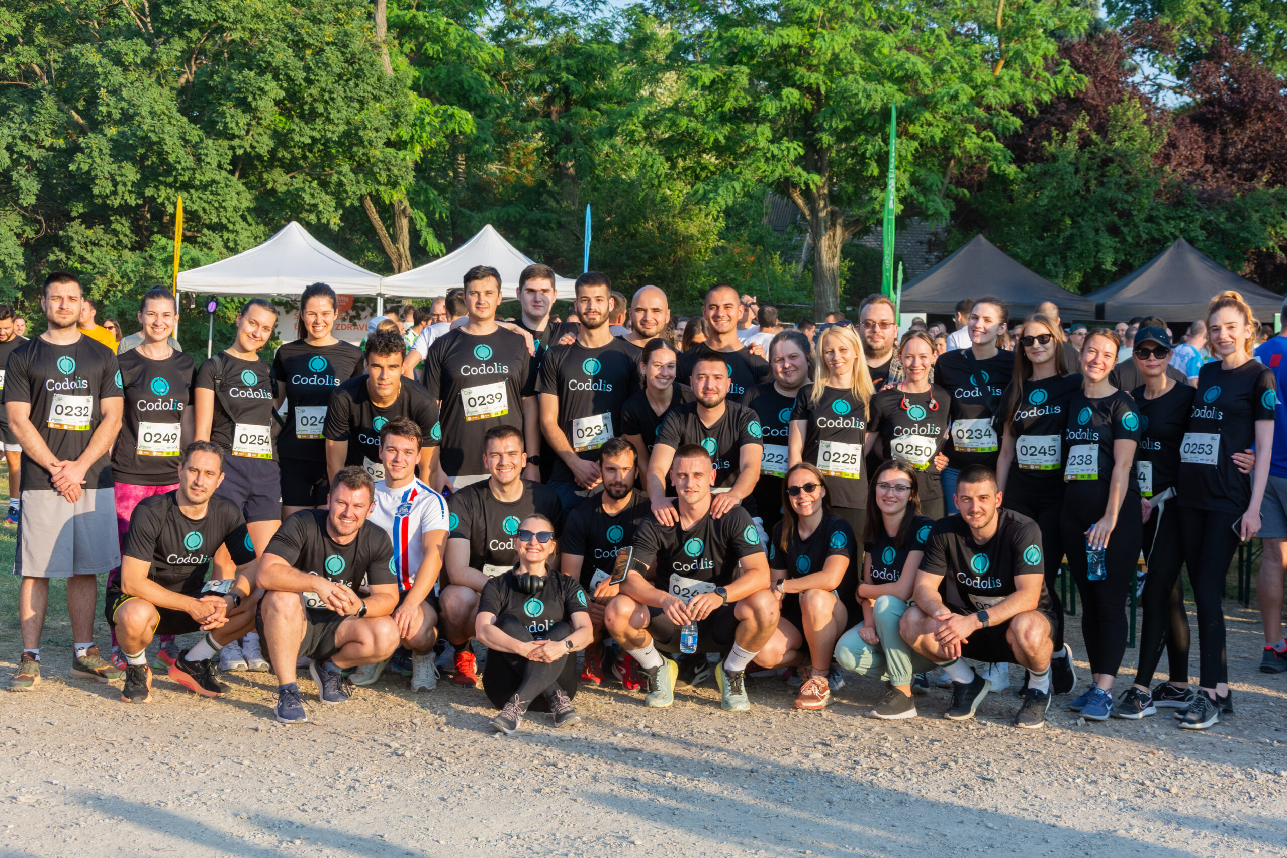 Codolis team
